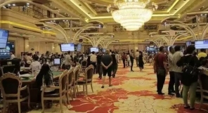 老街腾龙公司在线开户  网址  tl81.cn