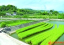 “两化”驱动创新路 万州全力打造长江上游“产业生态化、生态产业化”先行示范区综述
