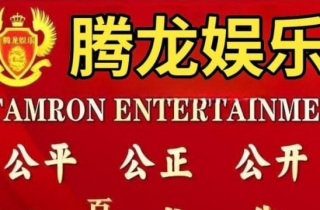 逆水寒] '负责人薇信 [TL55897]腾龙龍公司上下分客服流程