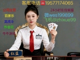 薇wes199899腾龙公司网址怎么登录？