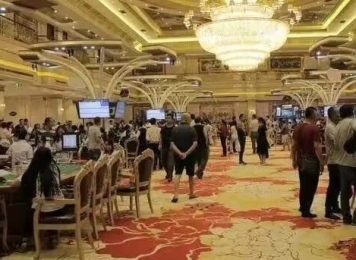 老街腾龙公司在线开户  网址  tl81.cn