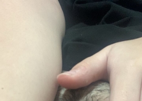 腾龙公司游戏《tl87.cn》