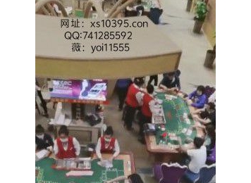 xs10395.com新盛注册公司直属会员账号