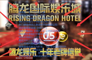 腾龙公司游戏《tl87.cn》